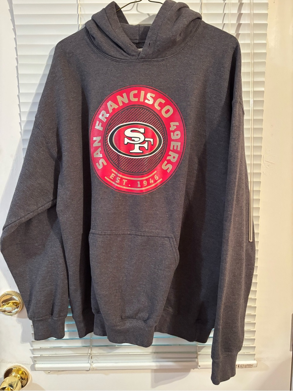 San Francisco 49ers Charcoal Hooded Sweatshirt - Team Logo